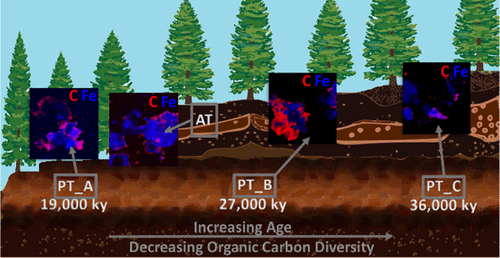 Understanding the Organomineral Interactions in Permafrost System Image
